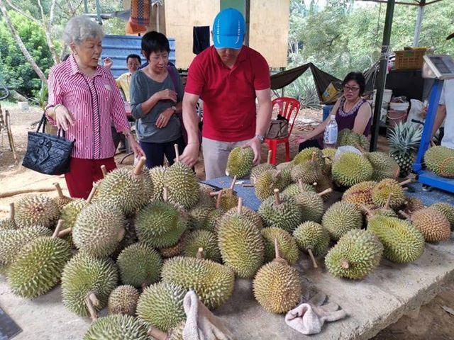 Nature Farm Karak | JustOrder.Today